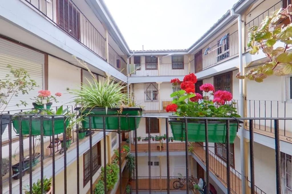 A Un Paso De La Bahia De Santander,Para 6! La Ciudad A Pie! Ngoại thất bức ảnh